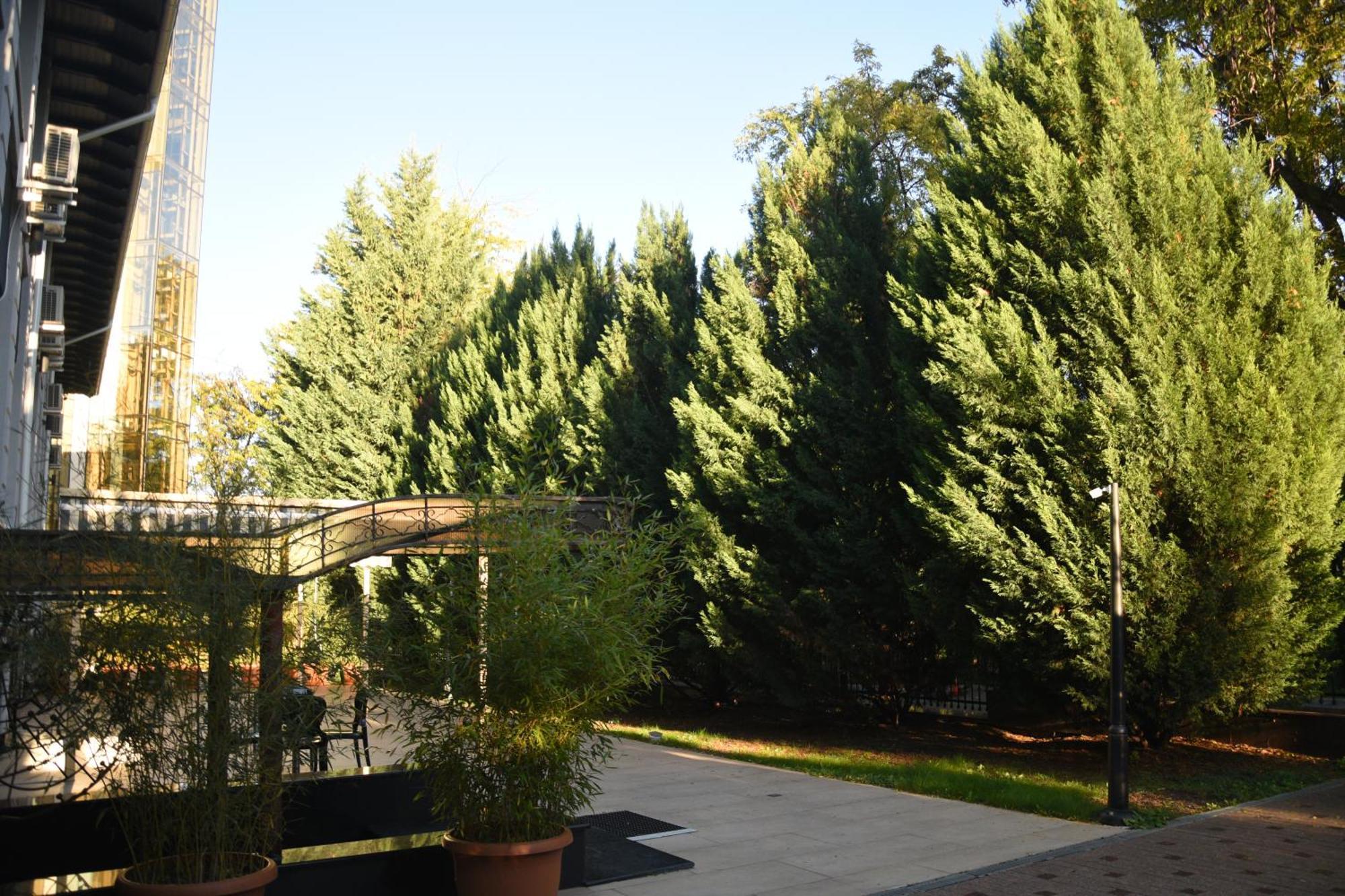 Hotel Royal Florence Chisinau Luaran gambar